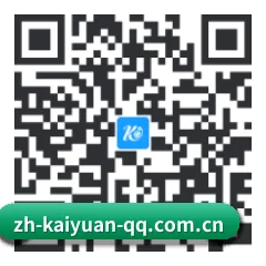 系统版 iOS 二维码